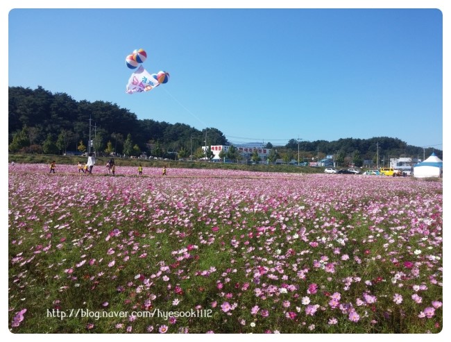 택지수산 이미지