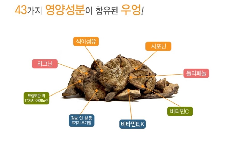 (주)오가뷰 이미지