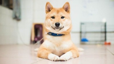 포항생아구 이미지