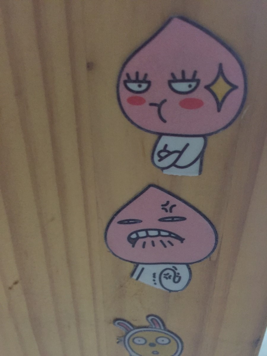 프렌즈 팡 이미지