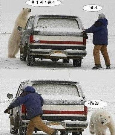 콜라폰 이미지