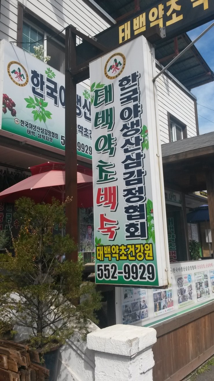 태백약초백숙 이미지