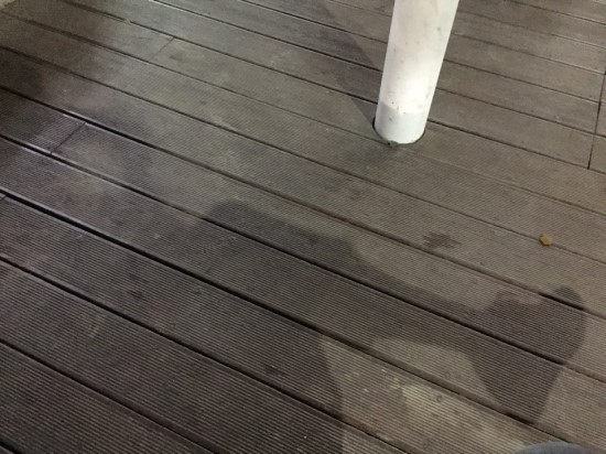 파파앤번 이미지