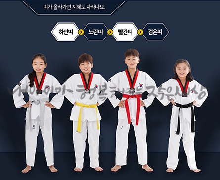 한국태권도컨설팅 이미지