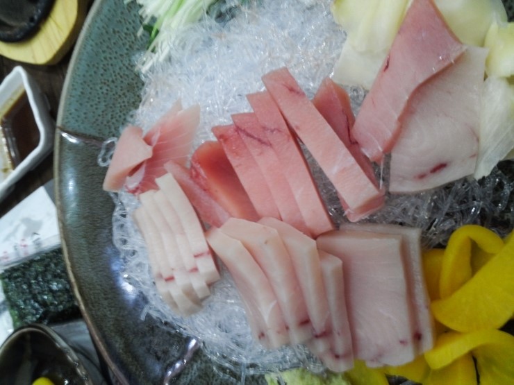 단카이참치 이미지