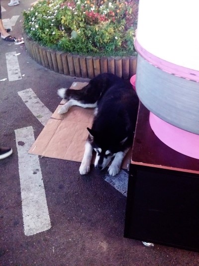 철산상회 이미지