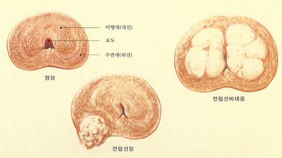 준비뇨기과의원 이미지