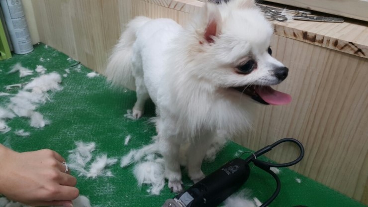 만복화성 이미지