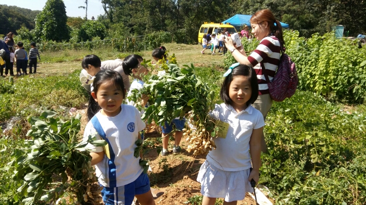 삼송농원 이미지