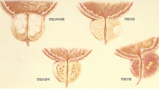 준비뇨기과의원 이미지
