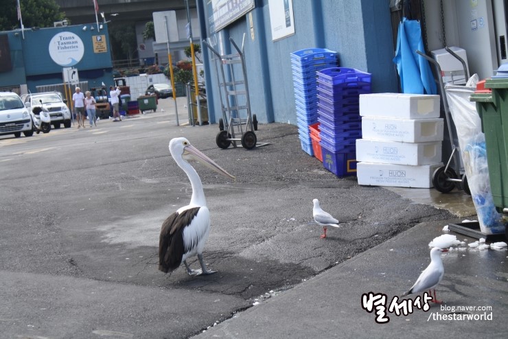 동물원야식 이미지