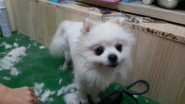 만복화성 이미지