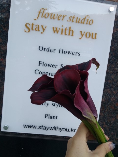 staywithyou 이미지