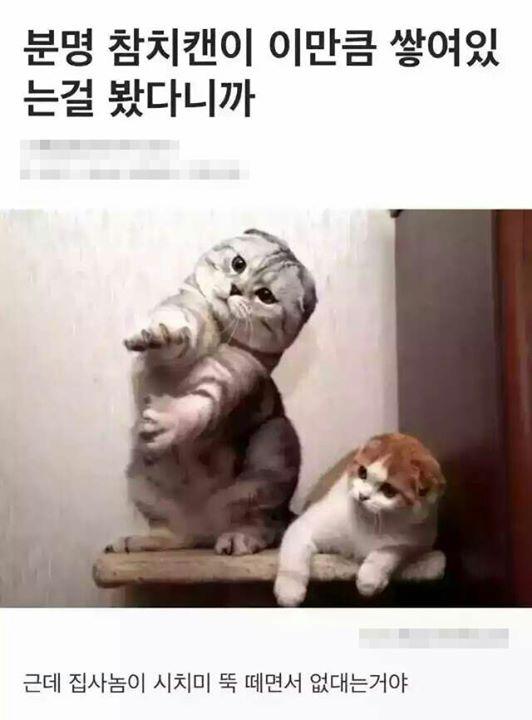 화성전자 이미지