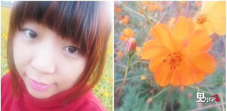 청다롱 이미지