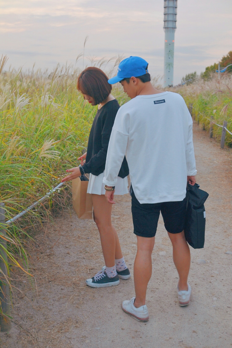 비스콥 이미지