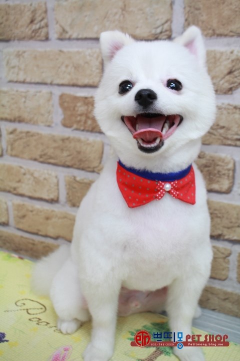 로미오미용실 이미지