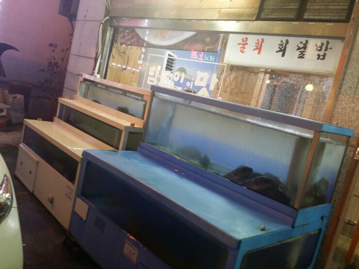 남도횟집 이미지