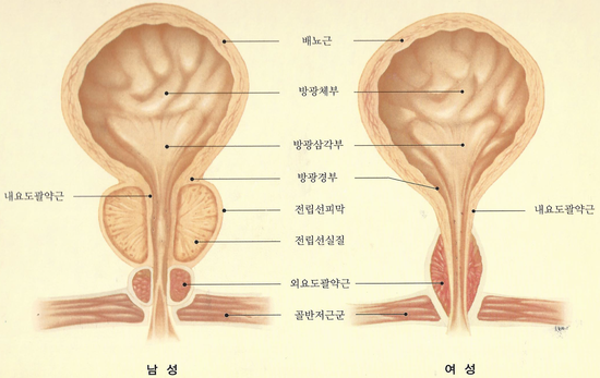 준비뇨기과의원 이미지