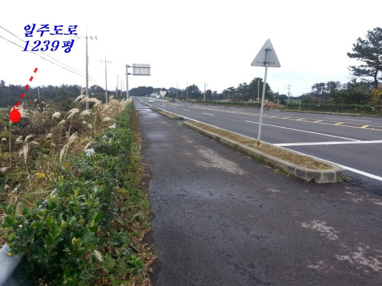 혼져옵서 사진 4