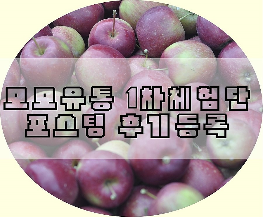 모모유통 이미지