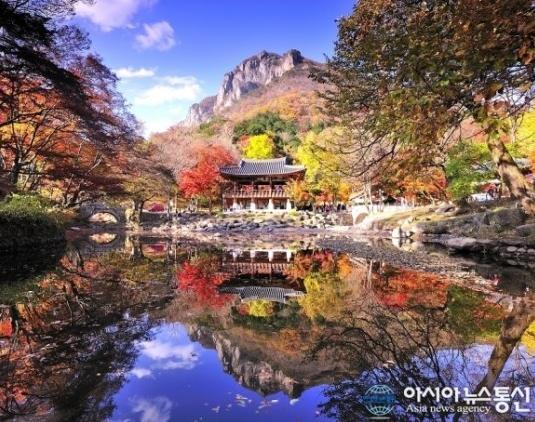 푸른음악학원 이미지