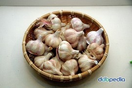소리보관 이미지