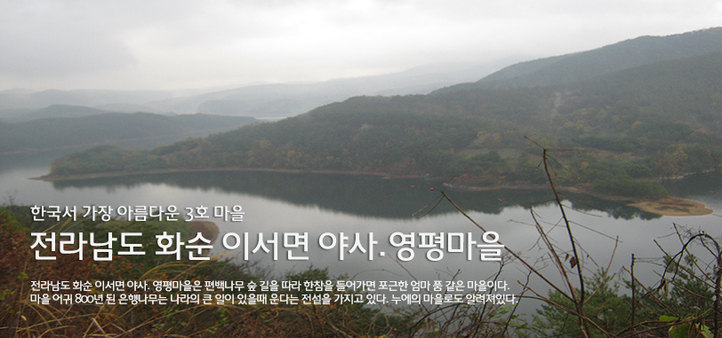 뽕모실 이미지