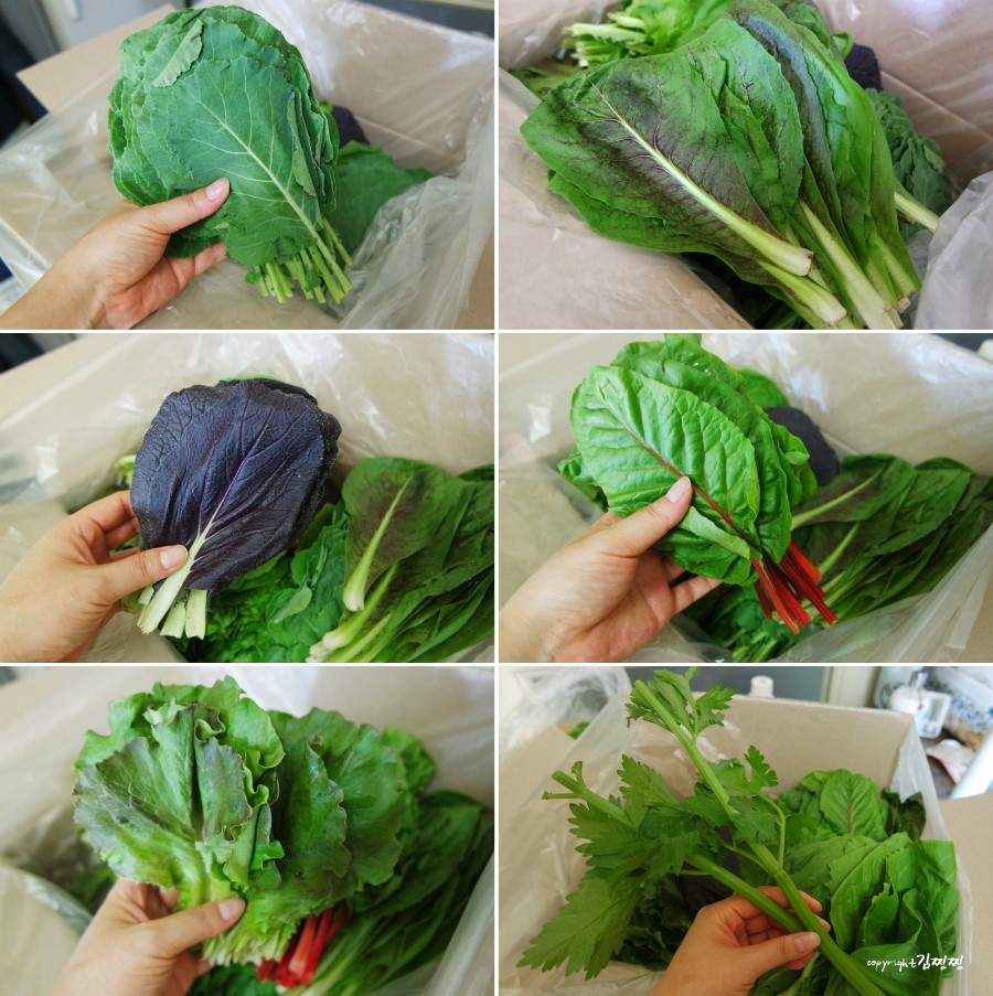 다쌈유통 이미지