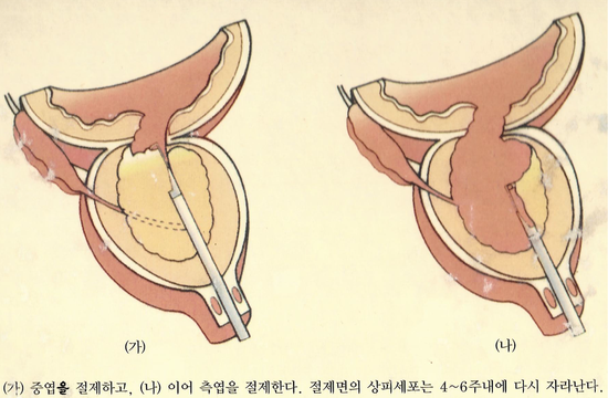준비뇨기과의원 이미지