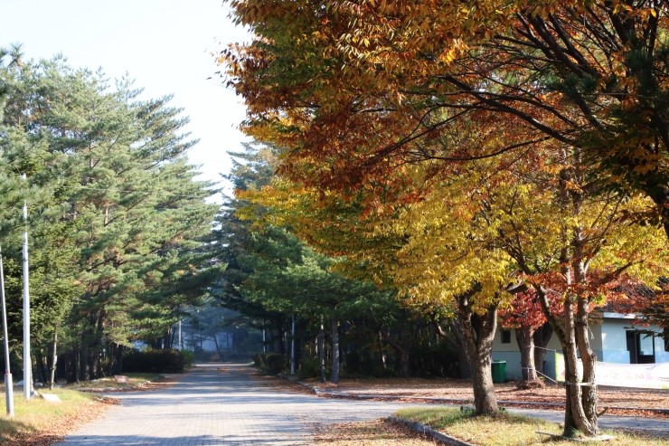 오대산힐링빌리지 이미지