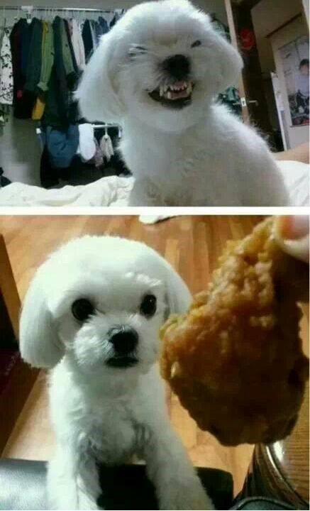 짱치킨 이미지