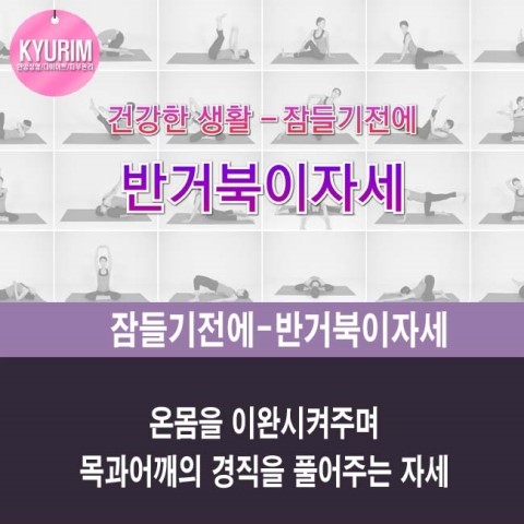 거북이 몰 이미지