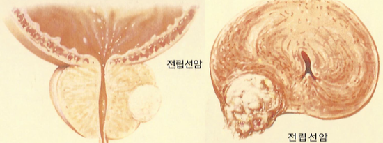 준비뇨기과의원 이미지