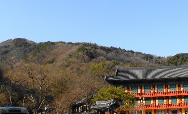 법인자연심 이미지