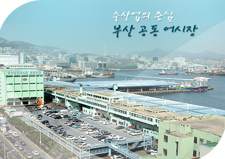 부산어시장 이미지