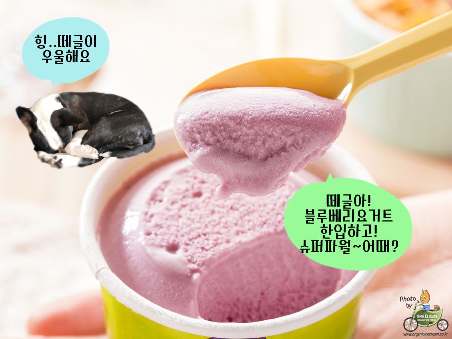 지비푸드 이미지
