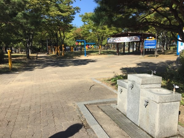 선진주 이미지