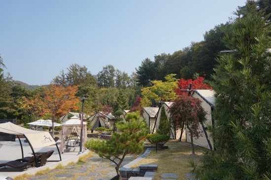클럽노블픽 이미지
