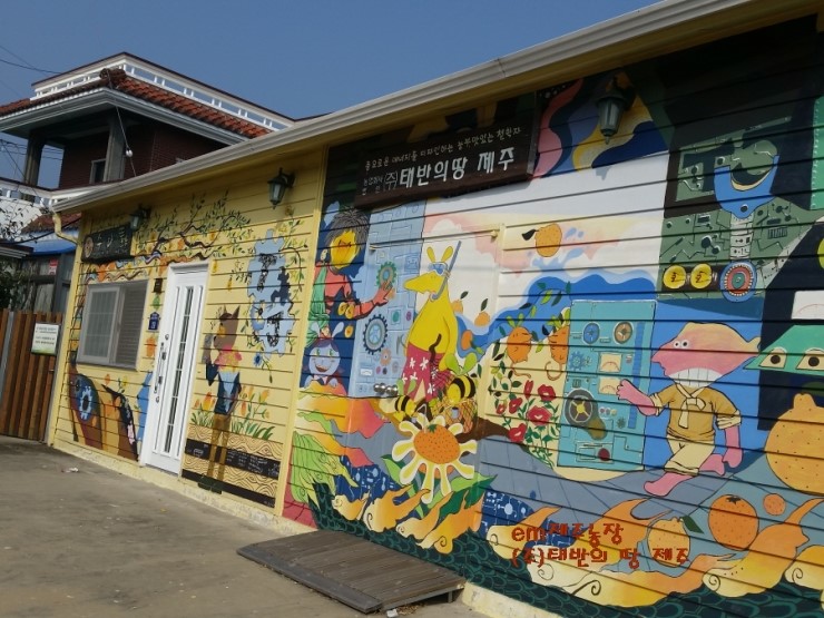 제주플라멩코컴퍼니 이미지