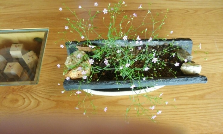 차 담 이미지