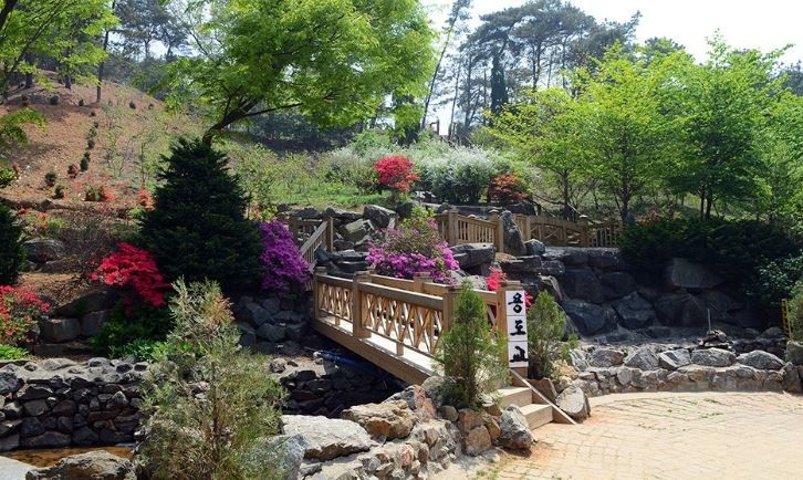 용도수목원 이미지