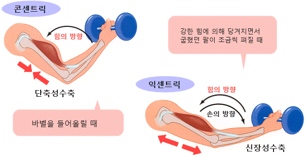 정헬스 이미지