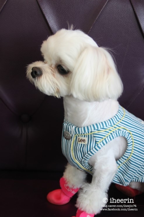 살롱드보떼(SALON DE BEAUTE) 이미지