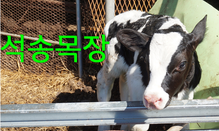 석송농장 이미지