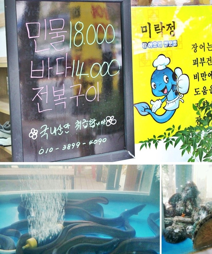 미락정장어 이미지