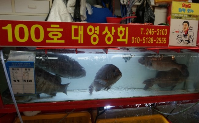 대영상회 이미지