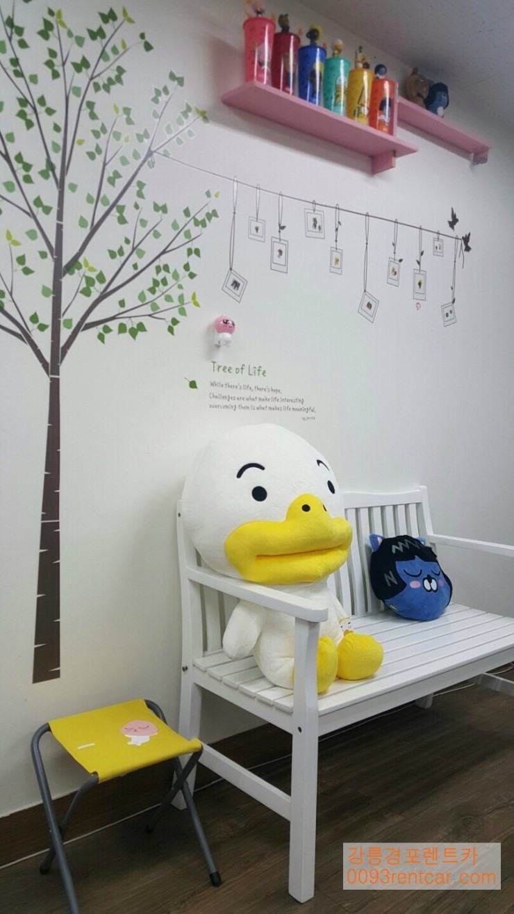 두아이렌터카 이미지