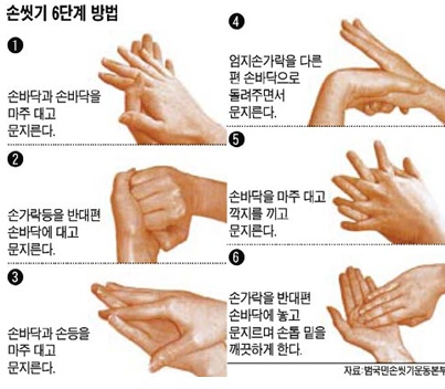 글로벌메디컬 이미지