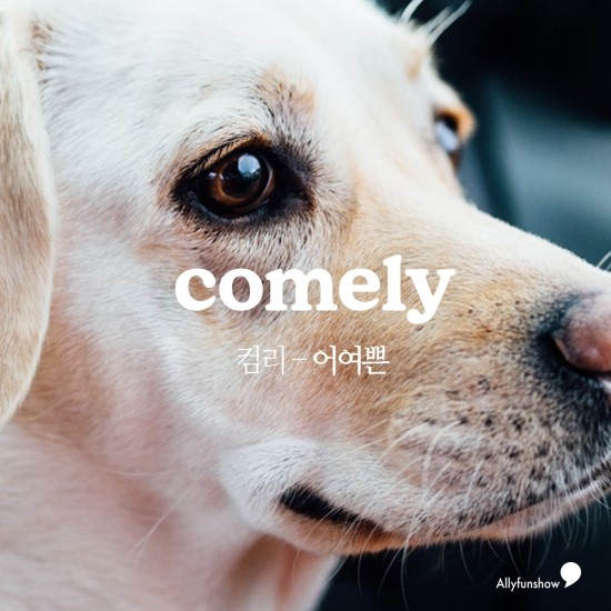 어여쁜 : COMELY 이미지